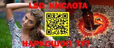 PSILOCYBIN Кинель