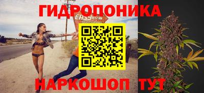 PSILOCYBIN Кинель