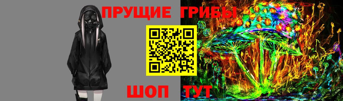 Красногорск  где найти наркотики  Галлюциногенные грибы ЛСД  Вход с VPN  Галлюциногенные грибы ЛСД 