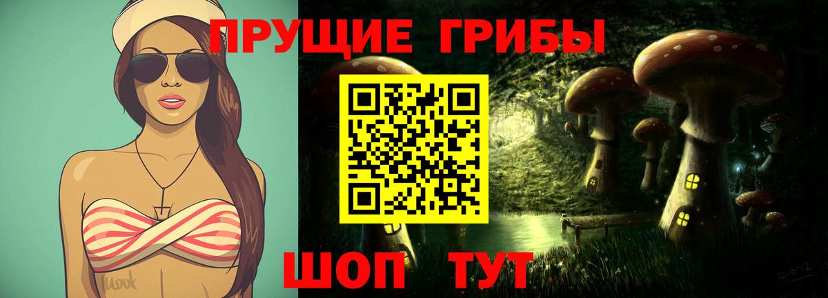 Псилоцибиновые грибы Psilocybine cubensis Красногорск